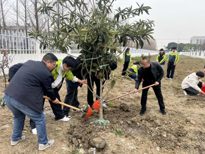 春风吹过 正“植”有我——横泾中学开展植树节活动